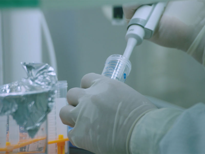 Humoral og cellulær immunitet til Mrna Rsv-vaksinen var betydelig høyere enn de for internasjonalt markedsførte produkter Søknad om klinisk utprøving i USA.